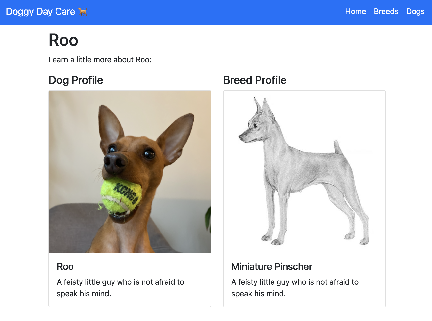 dog-profile